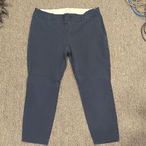 J. Crew Deep Blue Trousers